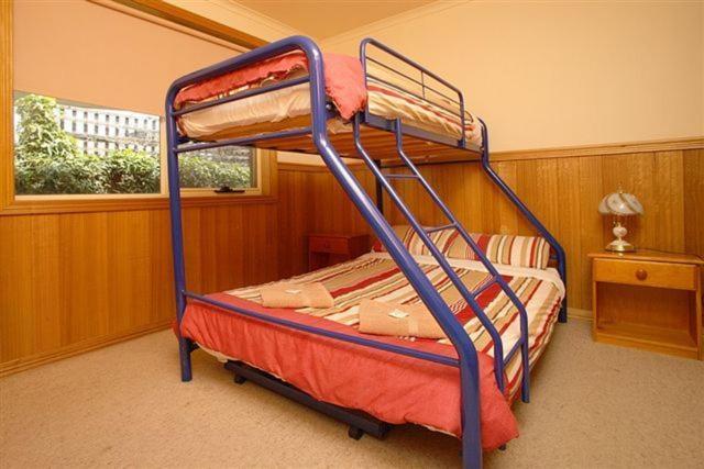 Apollo Bay Backpackers Lodge Chambre photo